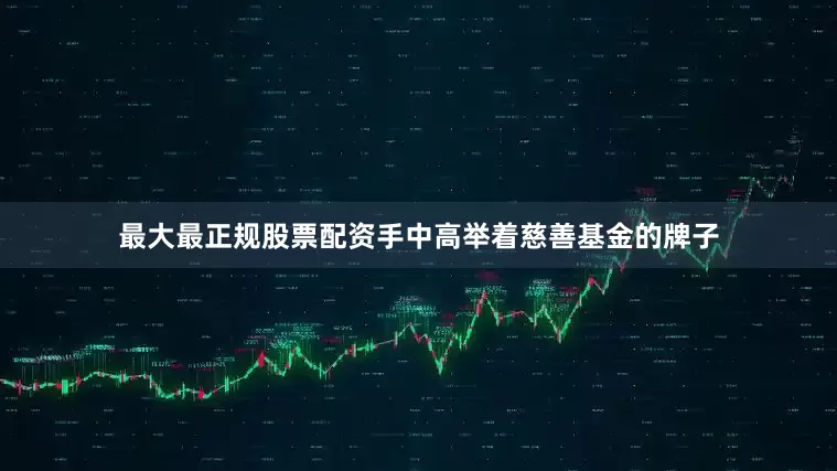 最大最正规股票配资手中高举着慈善基金的牌子